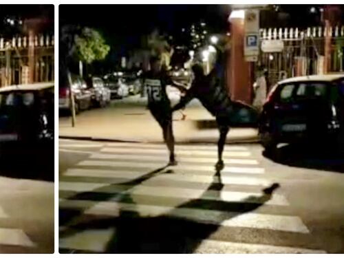 Il far west dei migranti a Ventimiglia: la rissa, poi i sassi contro auto e passanti