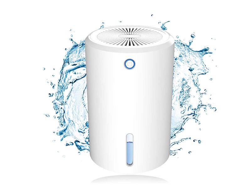 Ruiyuxin deumidificatore elettrico